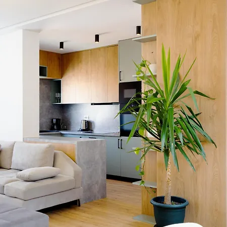 Cityview Penthouse With Private Veranda Apartment *